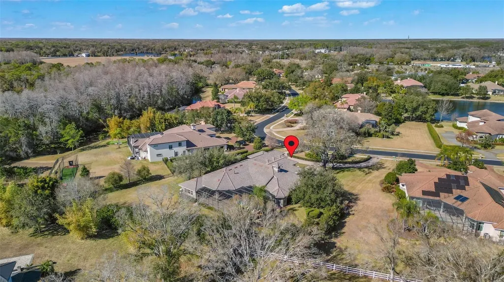 9916 Menander Wood Court Odessa FL 33556