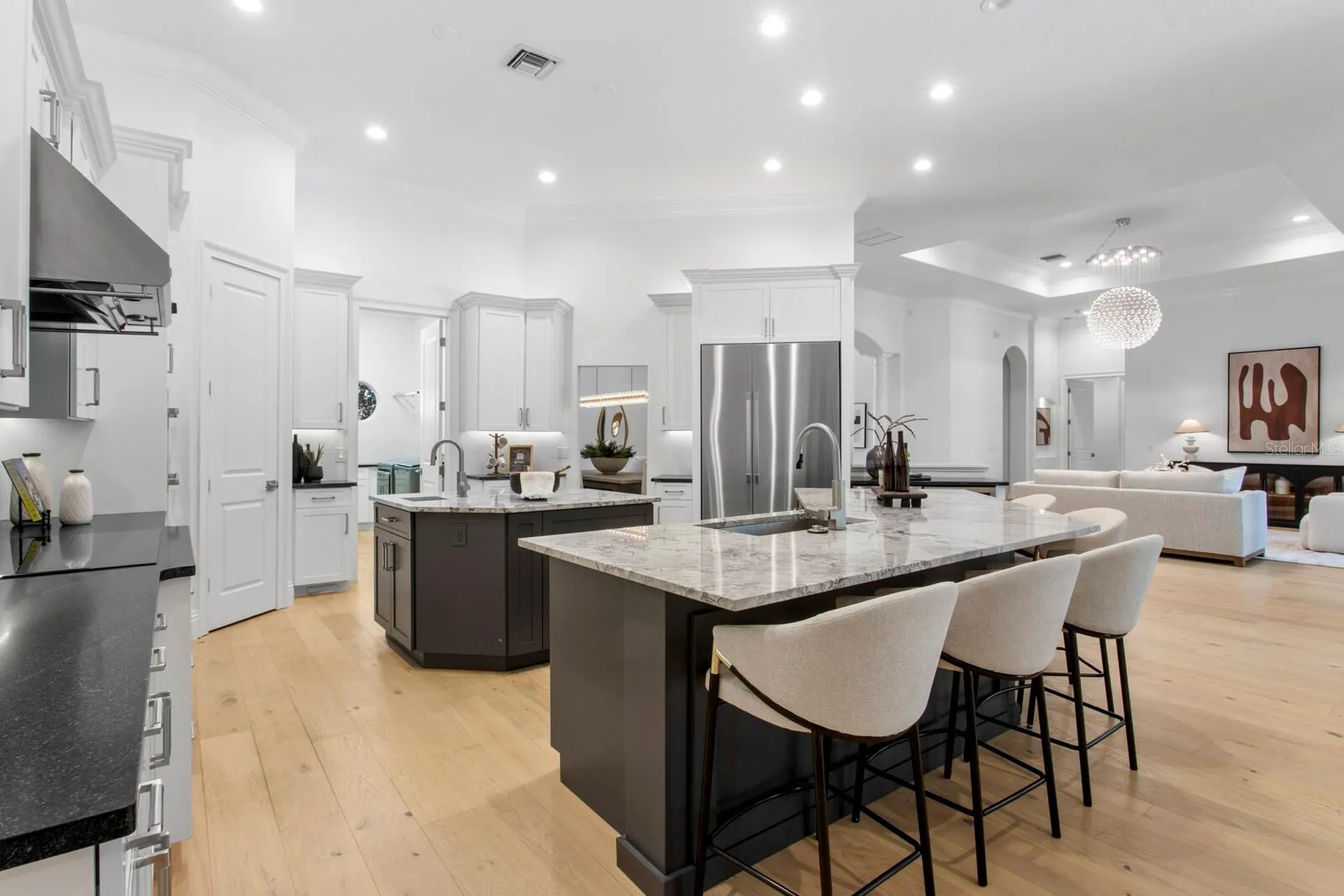 9916 Menander Wood Court Odessa FL 33556