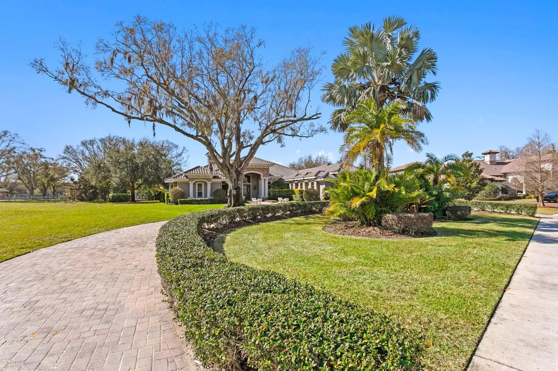 9916 Menander Wood Court Odessa FL 33556