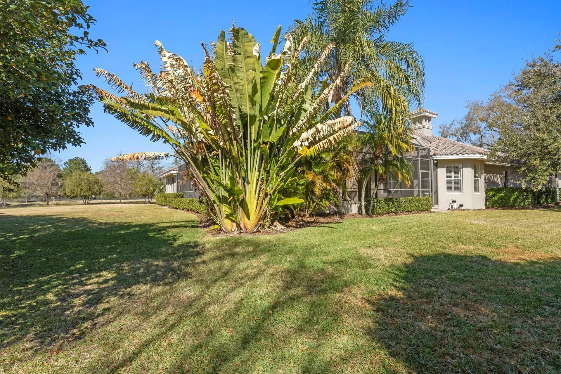 9916 Menander Wood Court Odessa FL 33556