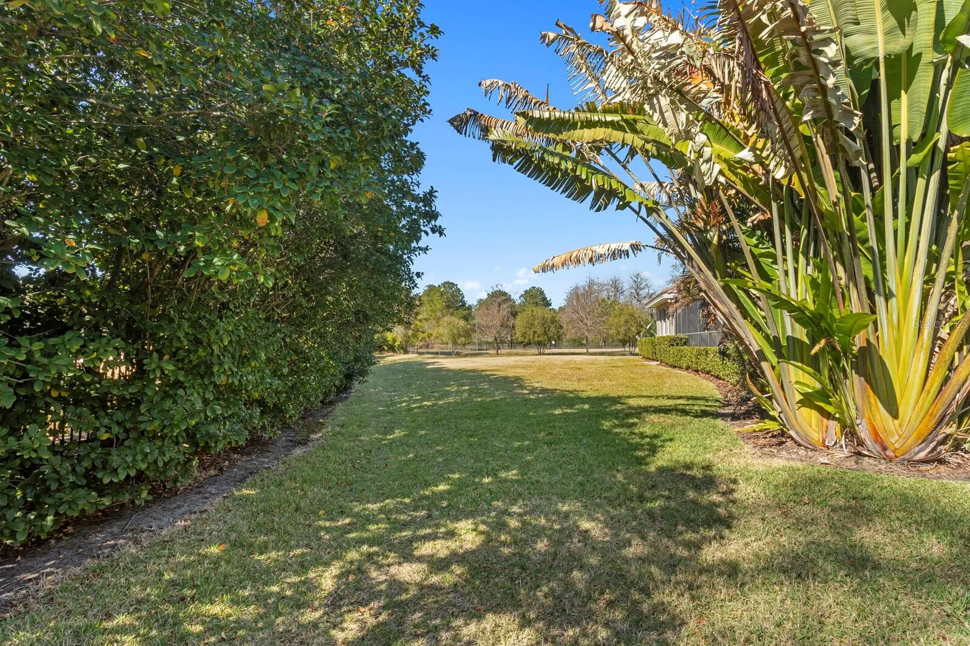 9916 Menander Wood Court Odessa FL 33556
