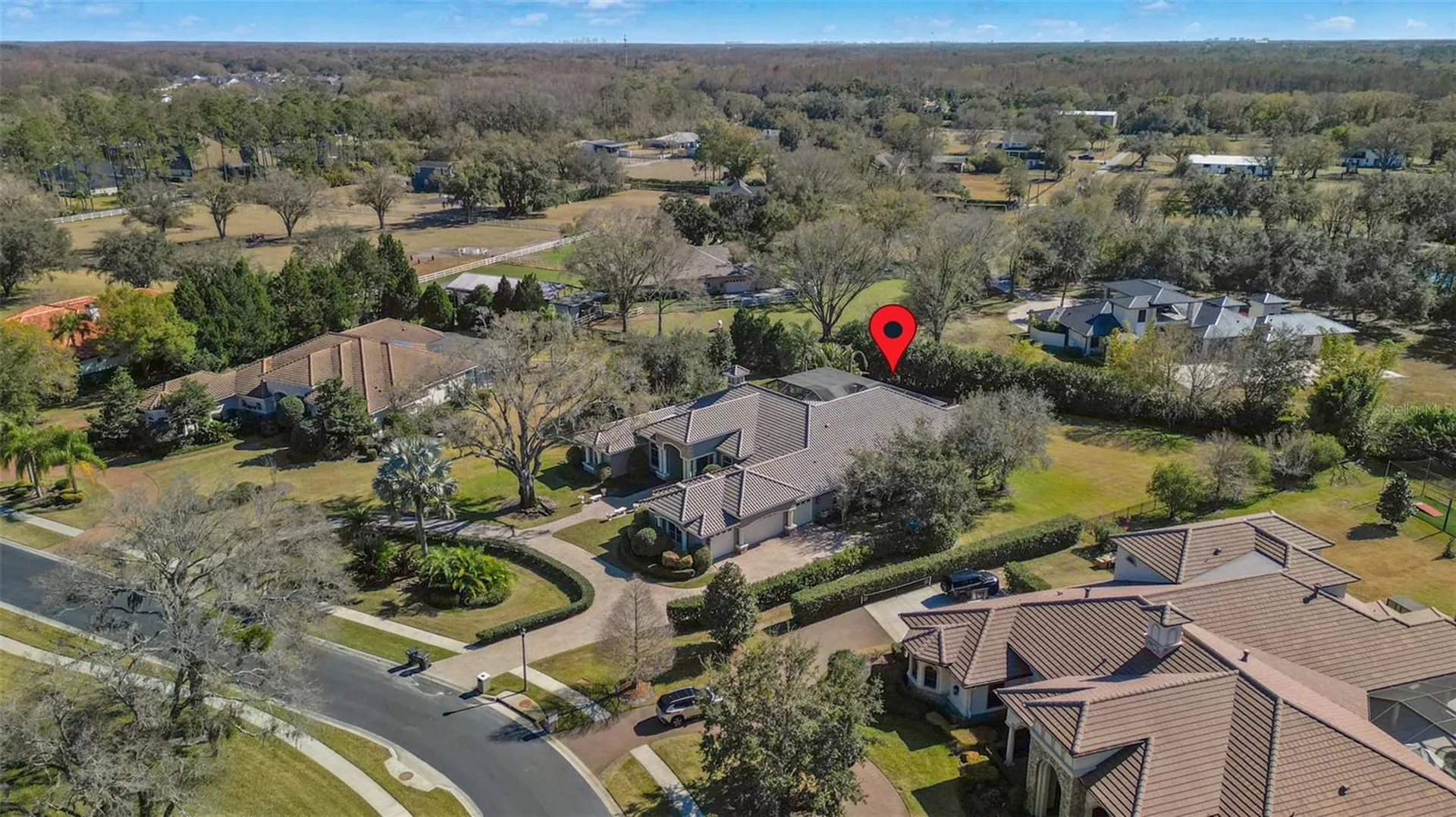 9916 Menander Wood Court Odessa FL 33556