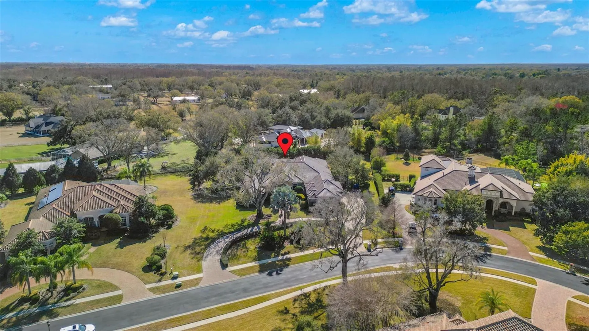 9916 Menander Wood Court Odessa FL 33556