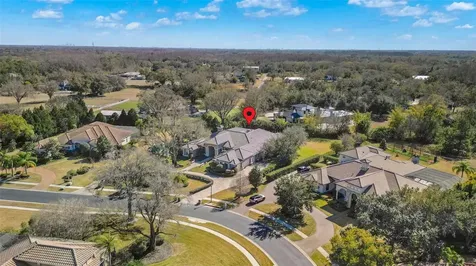 9916 Menander Wood Court Odessa FL 33556
