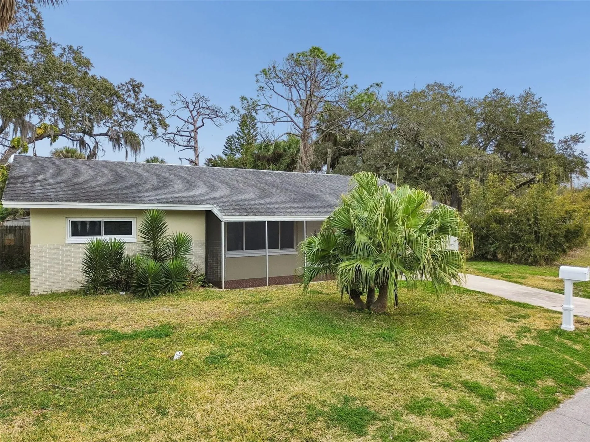 7232 Dianne Drive New Port Richey FL 34652