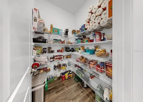 12853 Bergstrom Bay Drive Riverview FL 33579