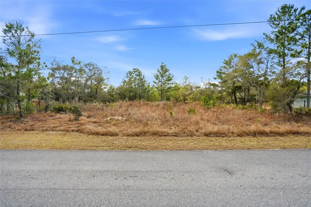 11263 Mexican Canary Avenue Weeki Wachee FL 34614