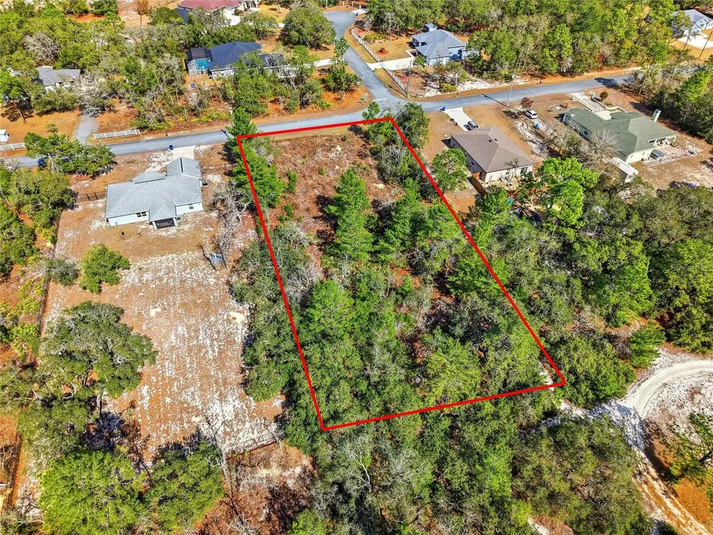 11263 Mexican Canary Avenue Weeki Wachee FL 34614