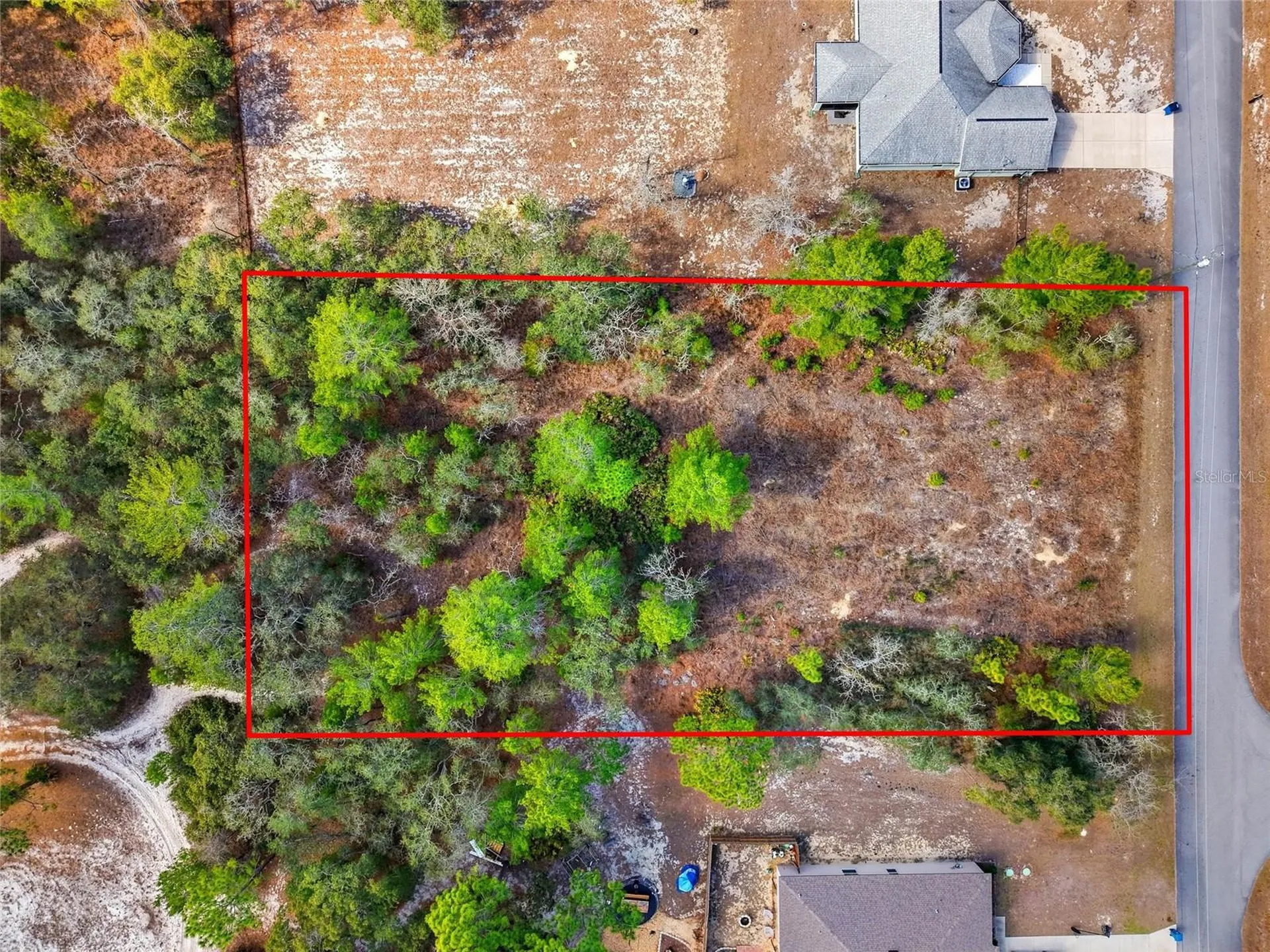 11263 Mexican Canary Avenue Weeki Wachee FL 34614