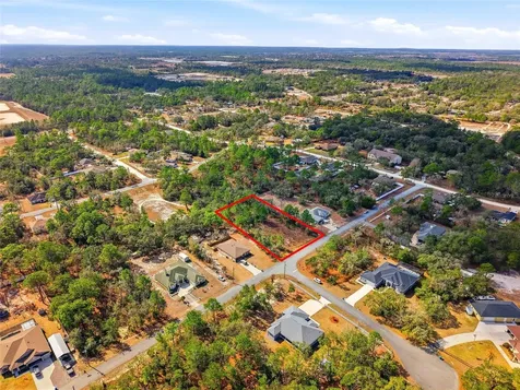 11263 Mexican Canary Avenue Weeki Wachee FL 34614