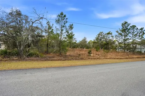 11263 Mexican Canary Avenue Weeki Wachee FL 34614