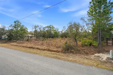 11263 Mexican Canary Avenue Weeki Wachee FL 34614