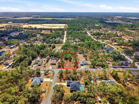11263 Mexican Canary Avenue Weeki Wachee FL 34614
