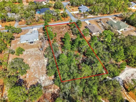 11263 Mexican Canary Avenue Weeki Wachee FL 34614