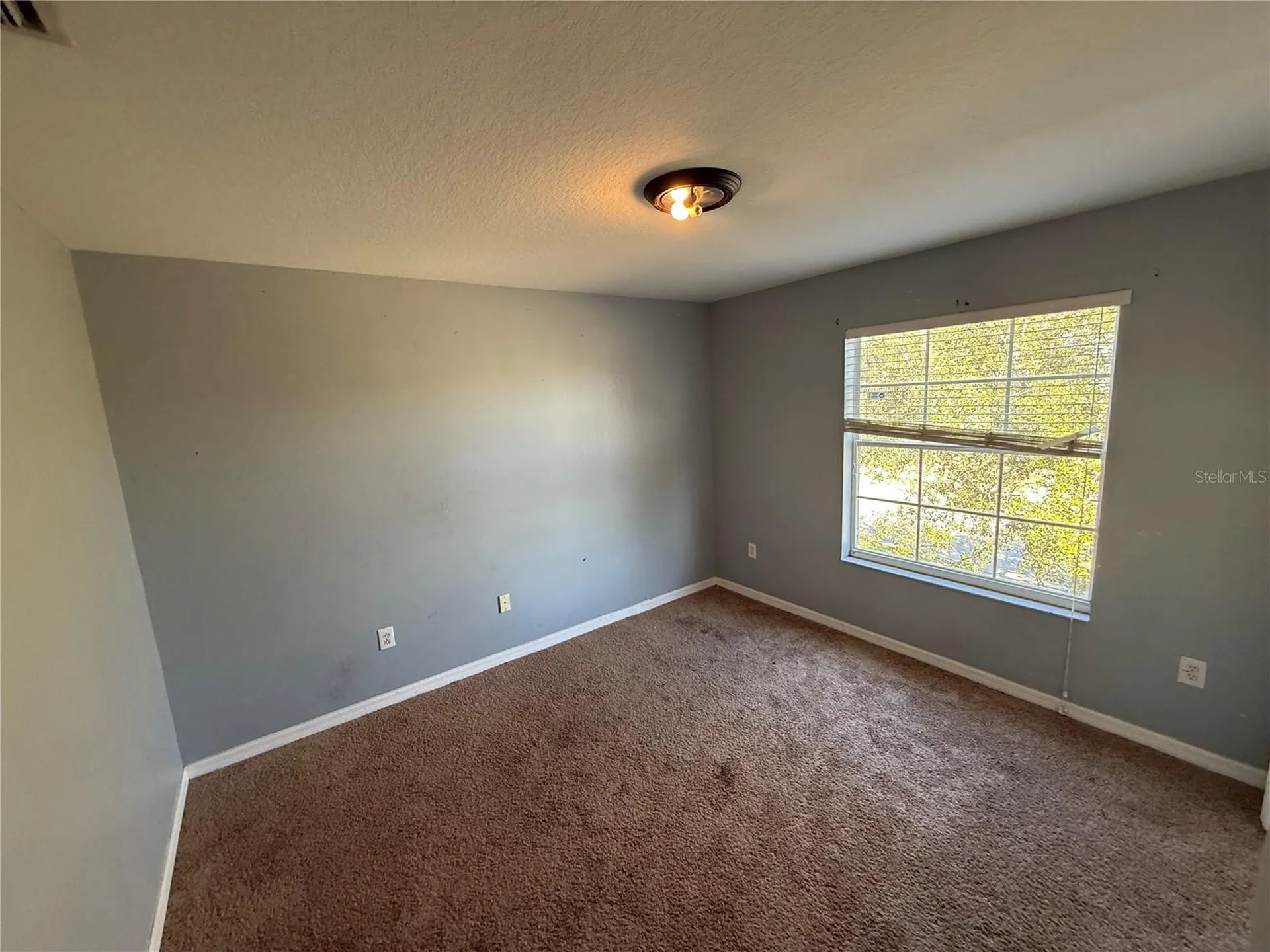 11642 Addison Chase Drive Riverview FL 33579