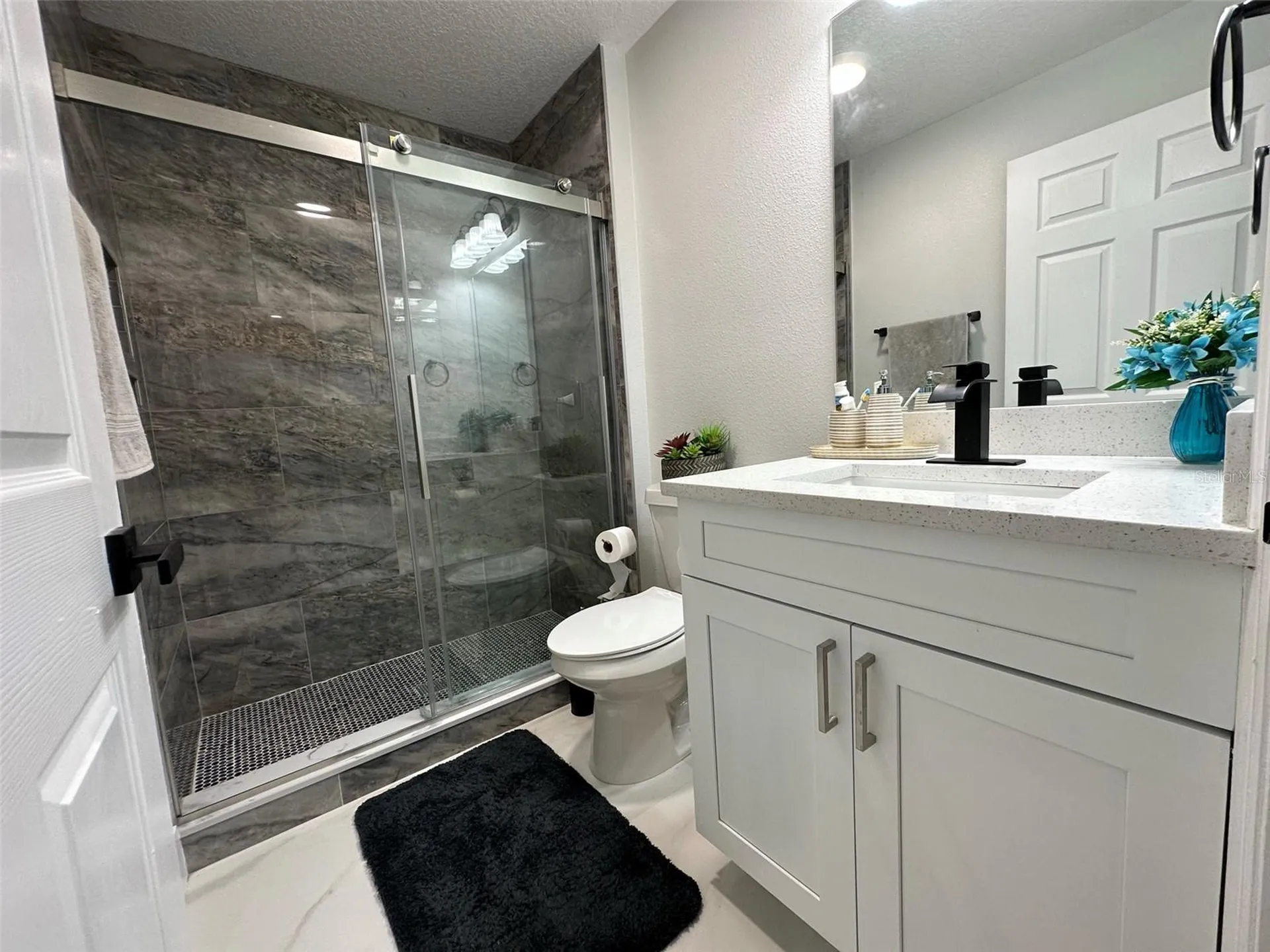 9830 Water Fern Circle Clermont FL 34711