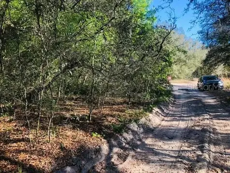 Oakridge Drive Lady Lake FL 32159