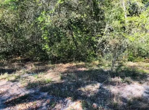 Oakridge Drive Lady Lake FL 32159