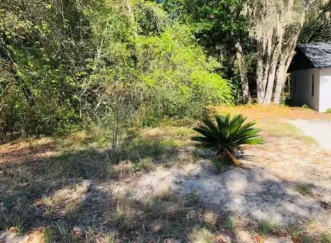 Oakridge Drive Lady Lake FL 32159