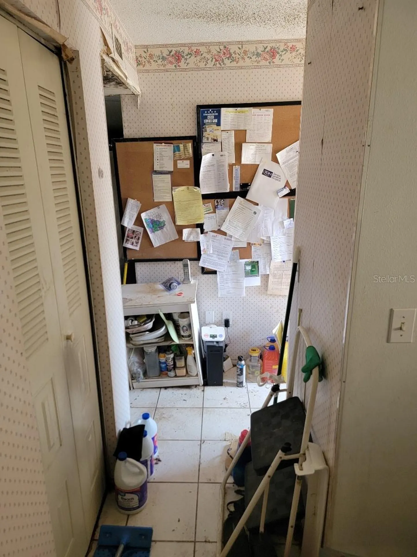 402 E Westchester Court Tampa FL 33604
