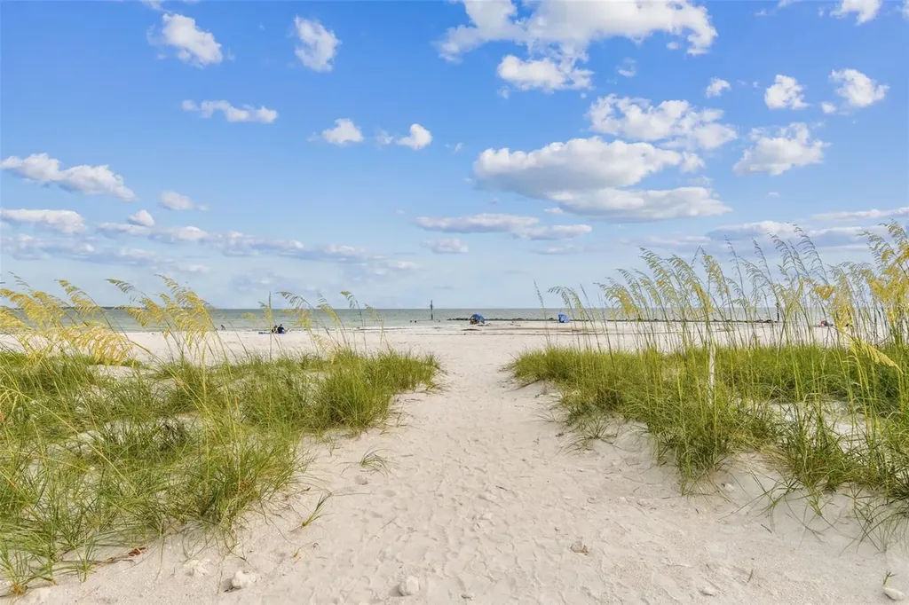 2427 Baywood Drive W Dunedin FL 34698