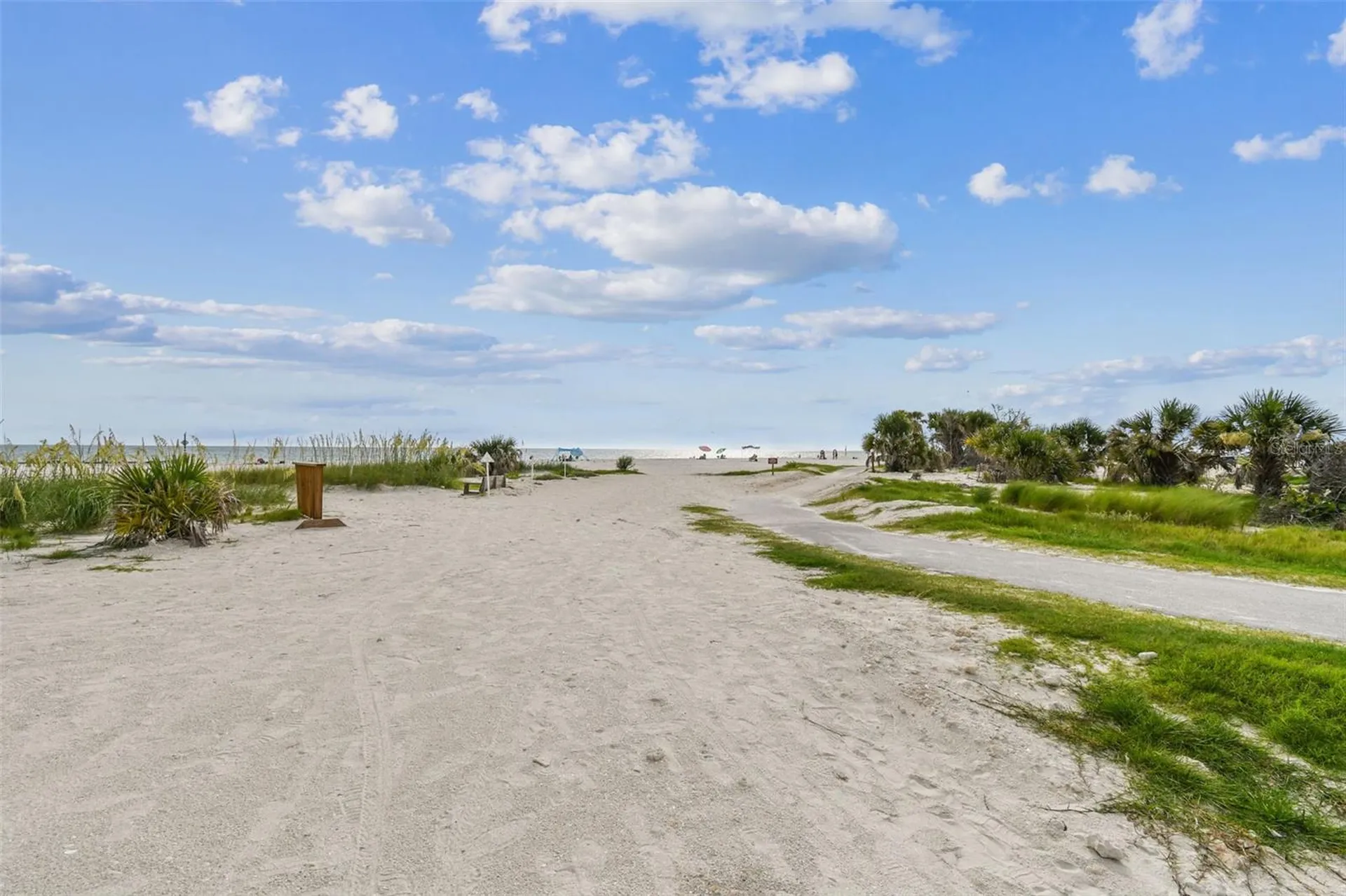 2427 Baywood Drive W Dunedin FL 34698