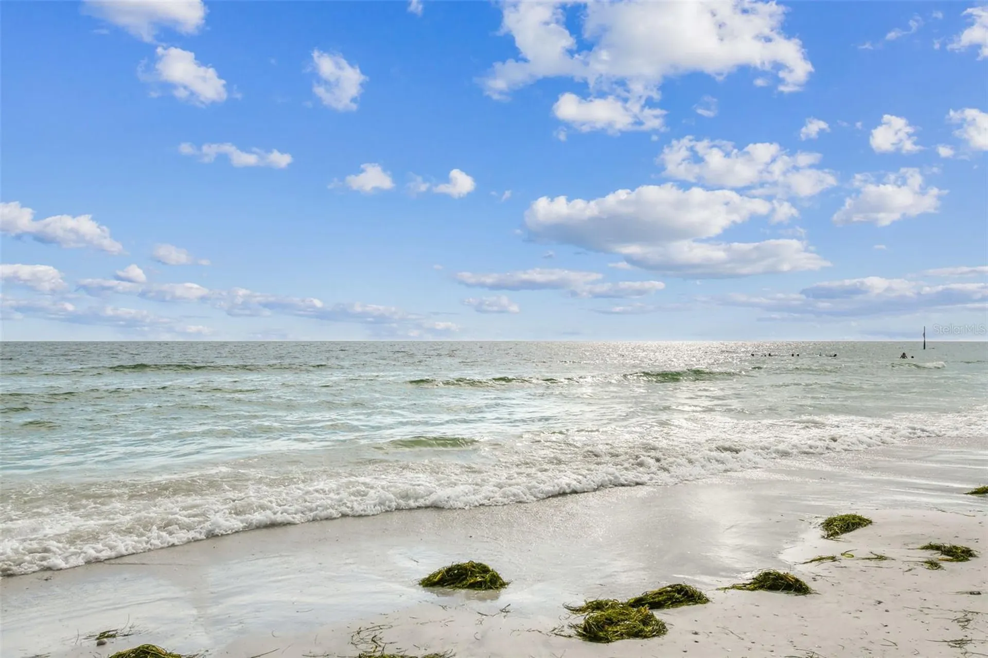 2427 Baywood Drive W Dunedin FL 34698