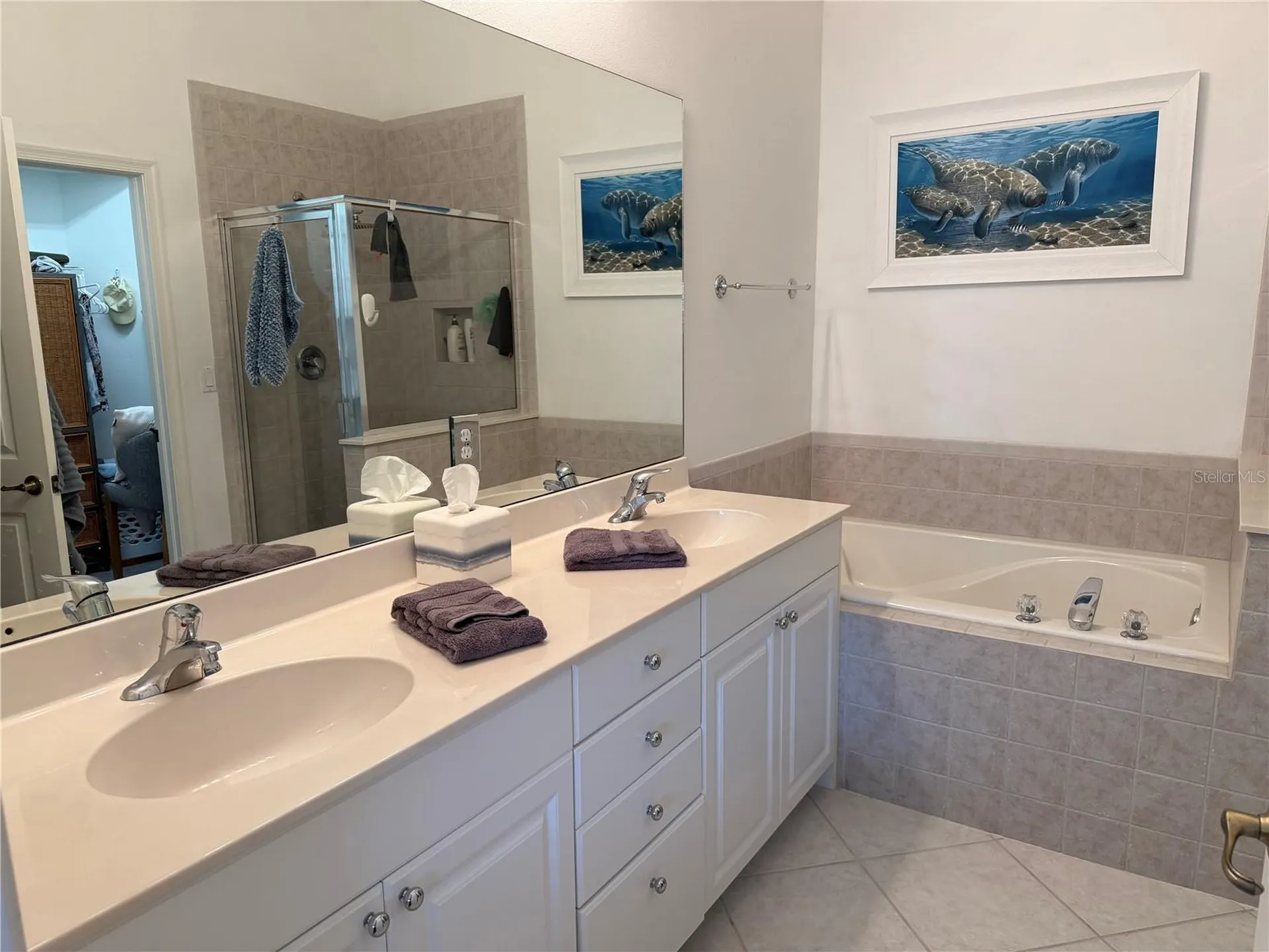3433 Grand Vista Court Port Charlotte FL 33953