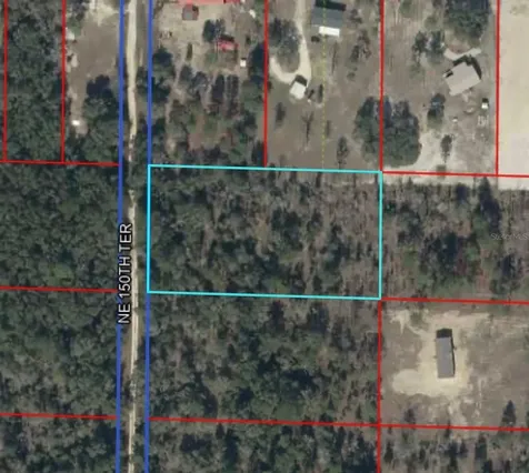 Tbd NE 150th Terrace Williston FL 32696