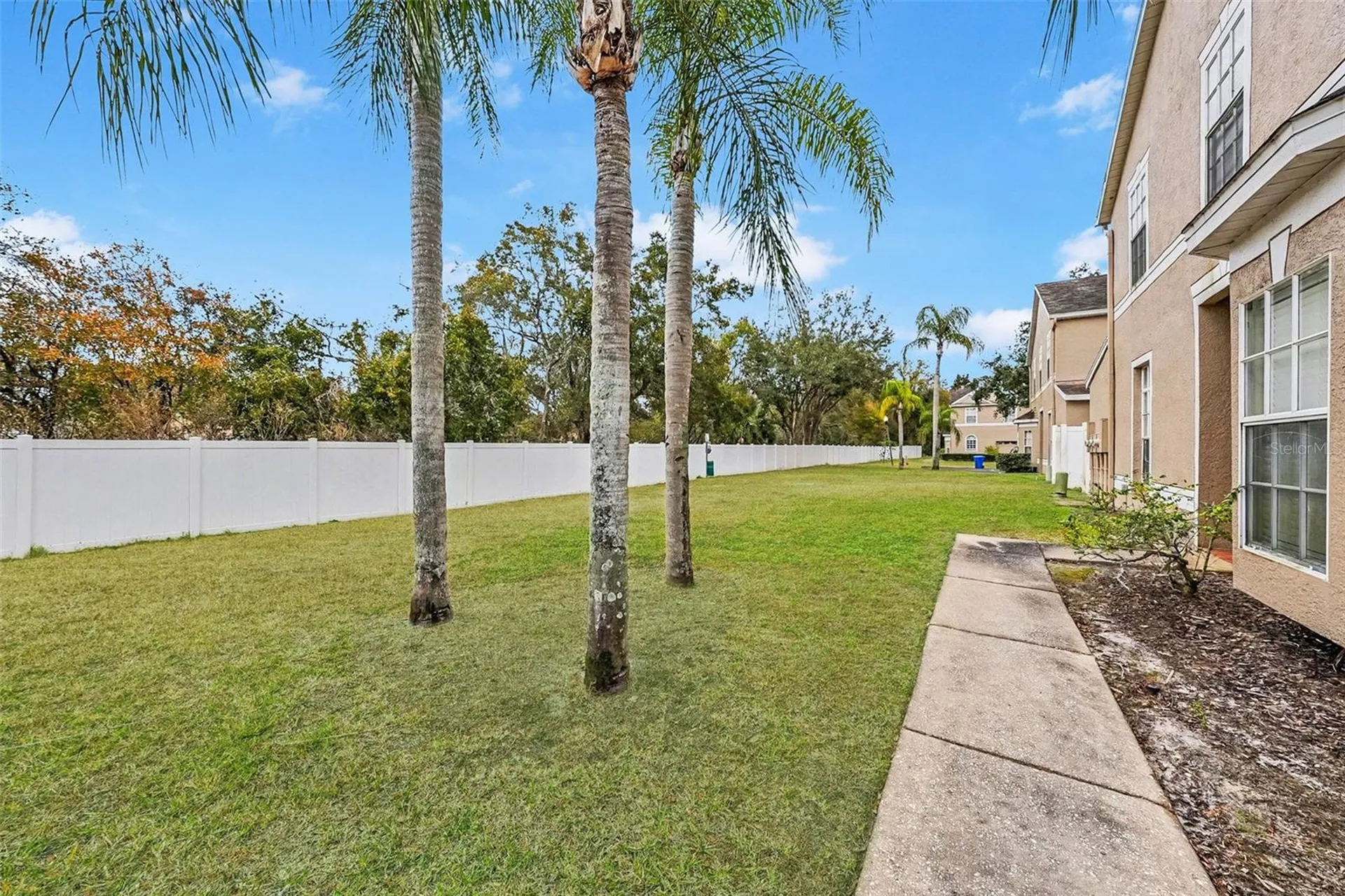 10109 Belleville Place Tampa FL 33624