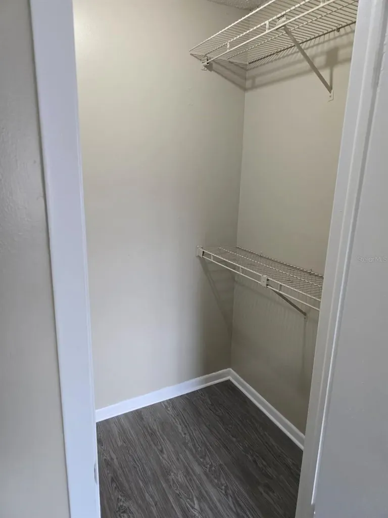 13289 Arbor Pointe Circle Tampa FL 33617