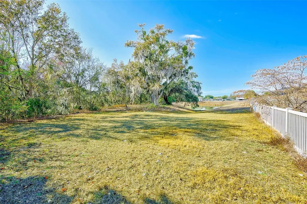 11159 Running Pine Drive Riverview FL 33569