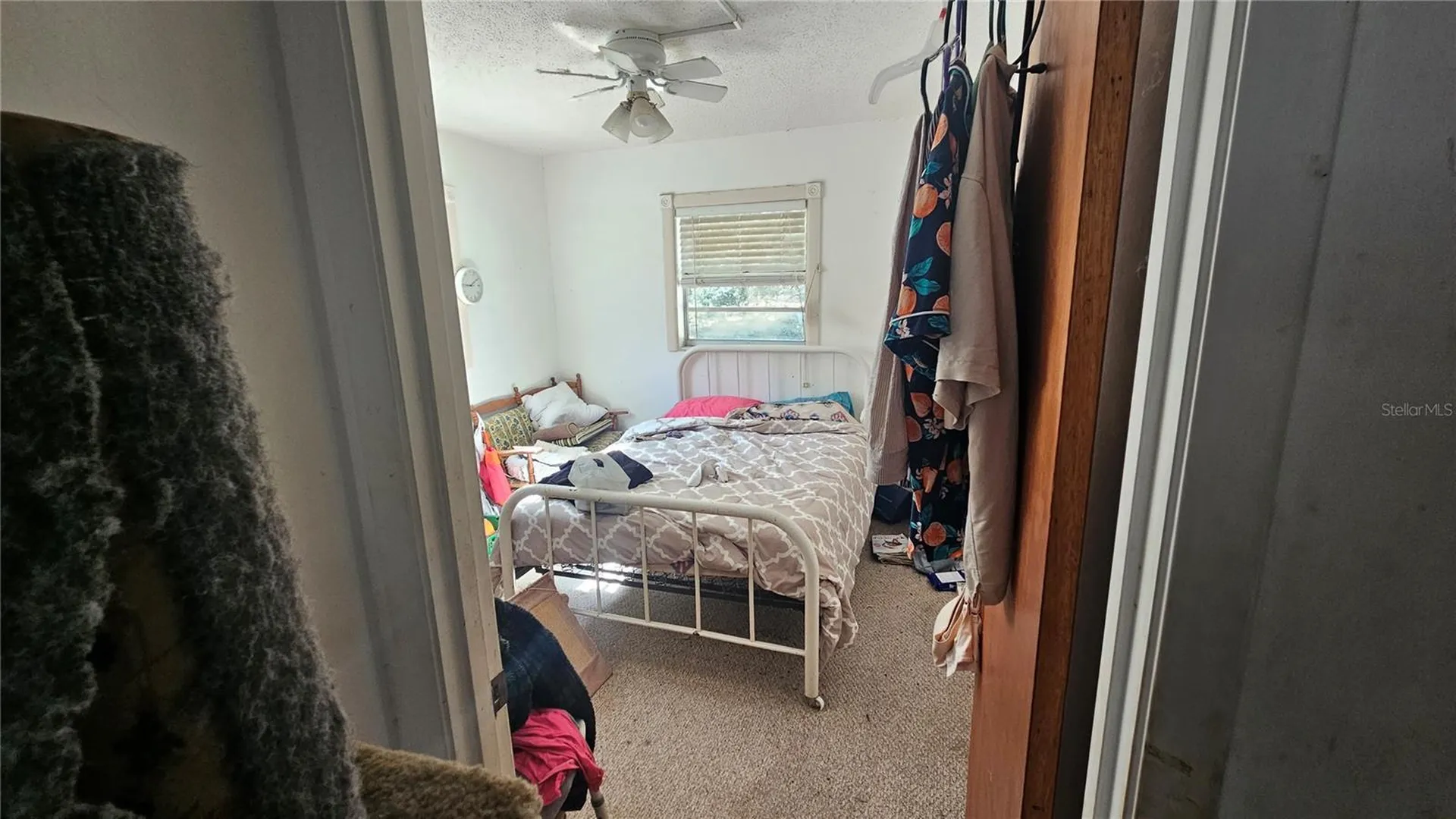 43734 West Lane Paisley FL 32767