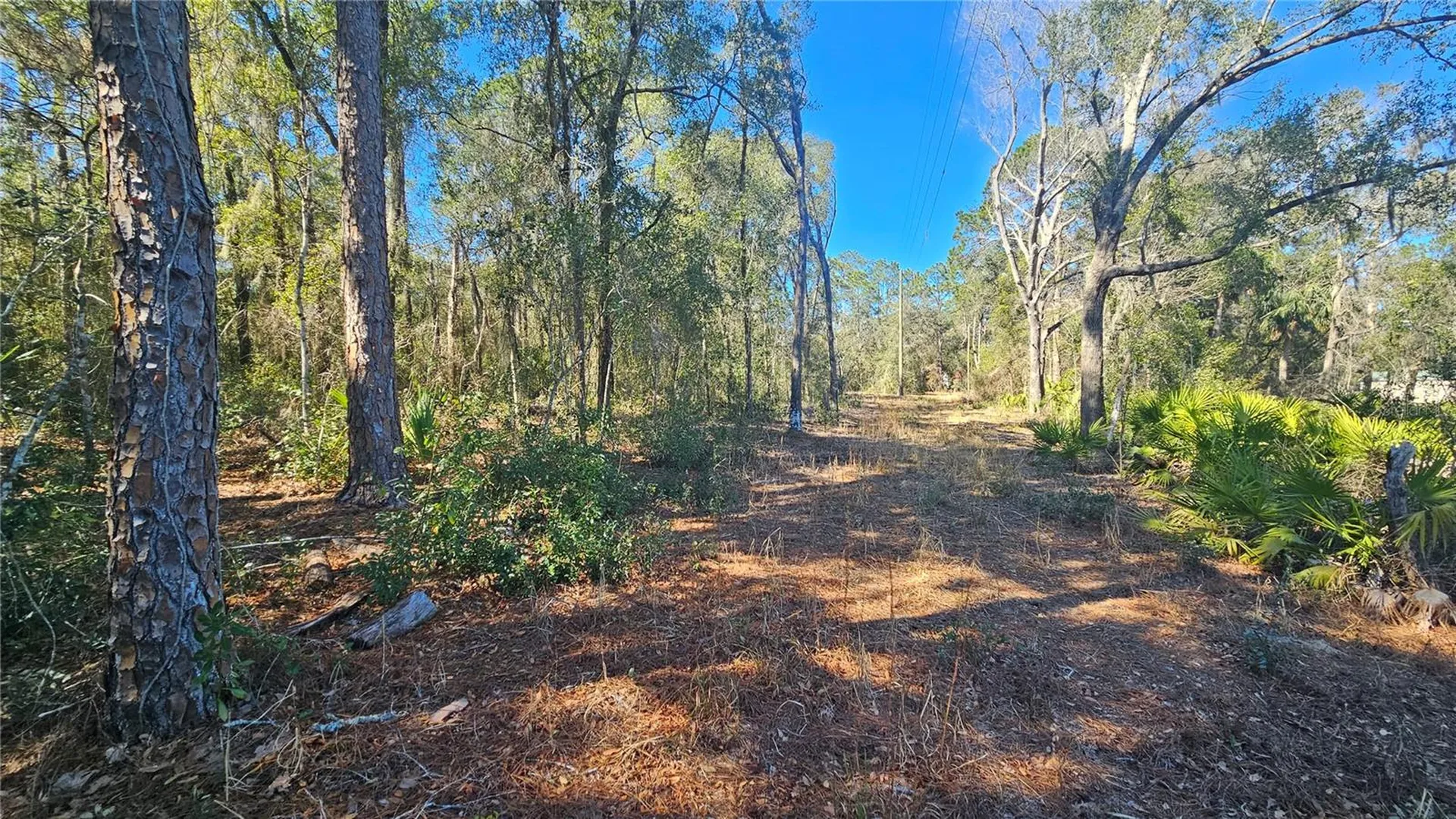 43734 West Lane Paisley FL 32767