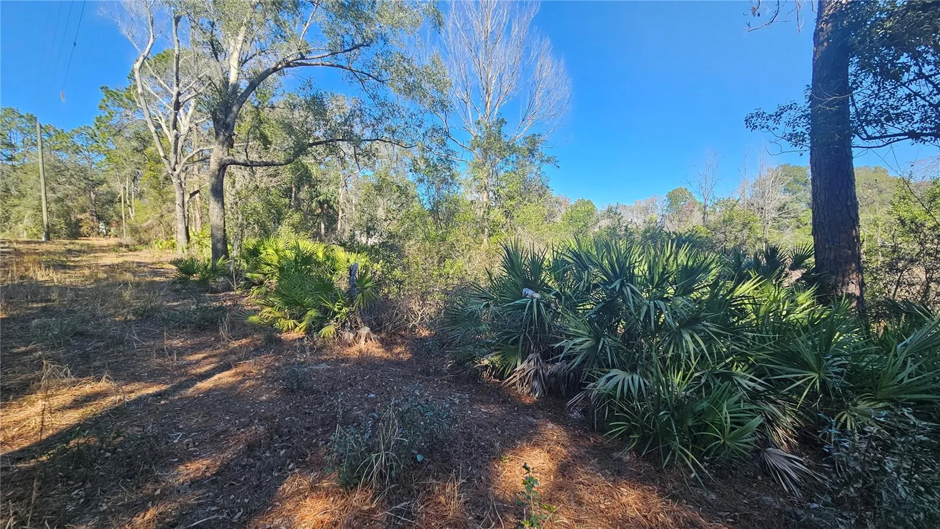 43734 West Lane Paisley FL 32767