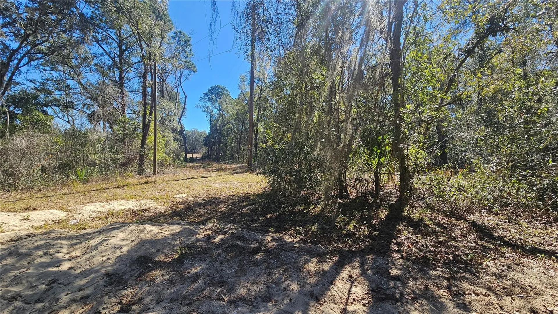43734 West Lane Paisley FL 32767