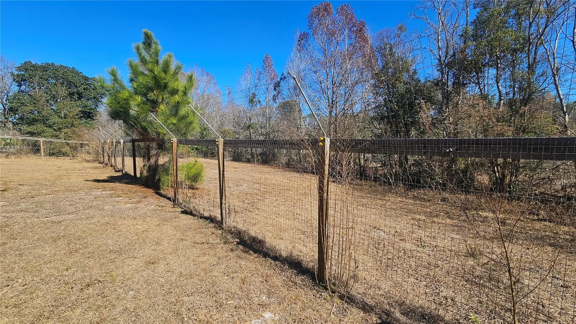 43734 West Lane Paisley FL 32767