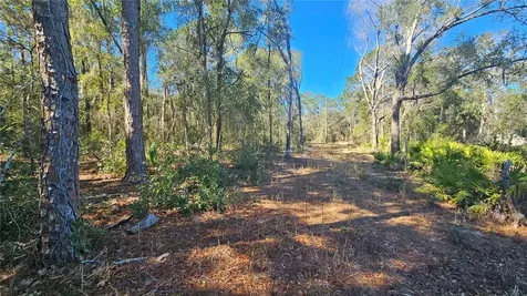 43734 West Lane Paisley FL 32767
