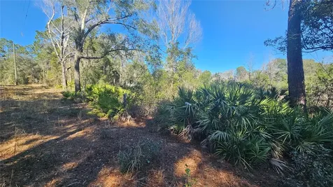 43734 West Lane Paisley FL 32767