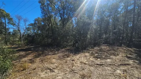 43734 West Lane Paisley FL 32767