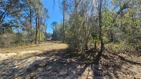 43734 West Lane Paisley FL 32767