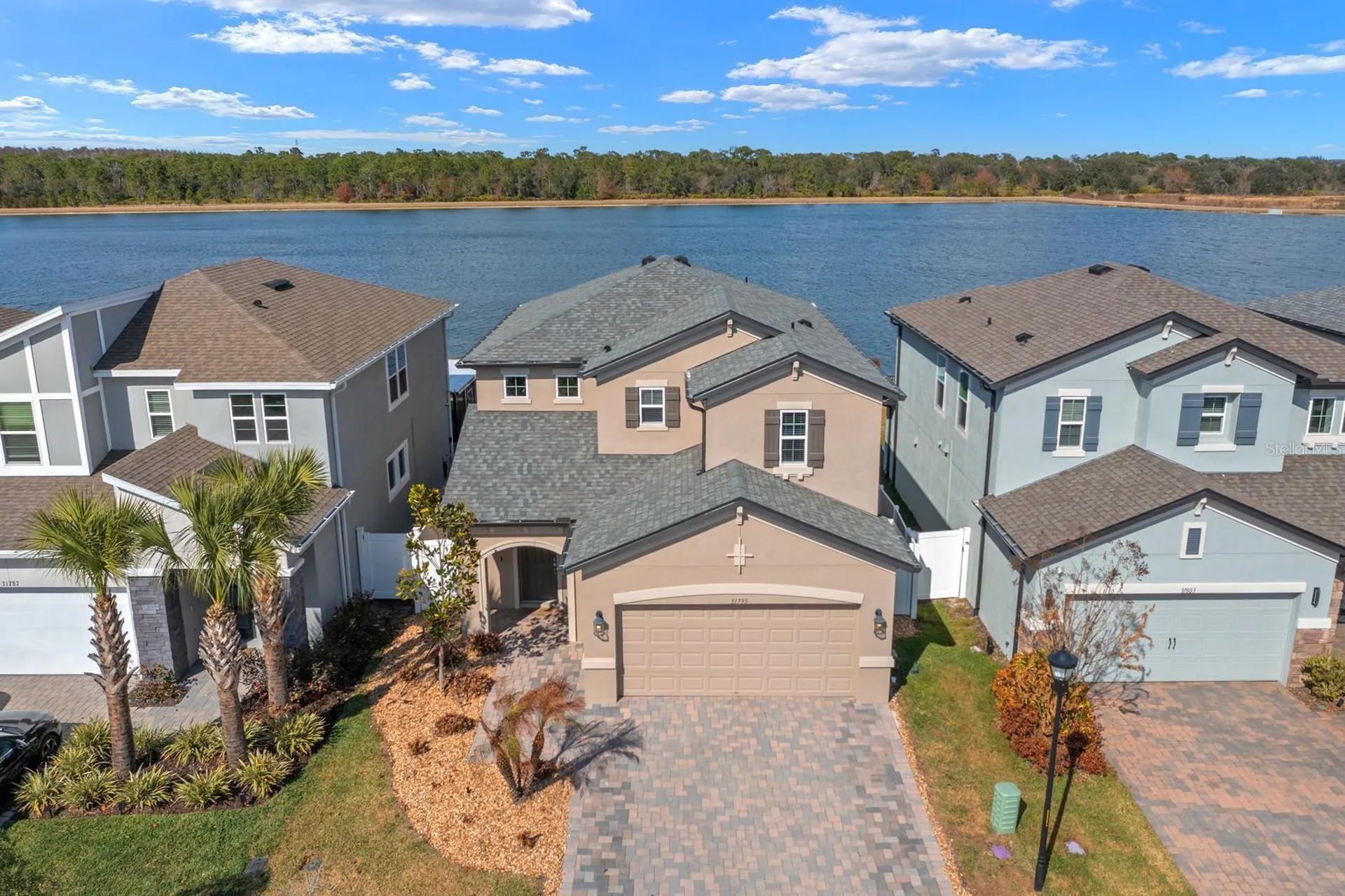 31795 Asbury Avenue Wesley Chapel FL 33545