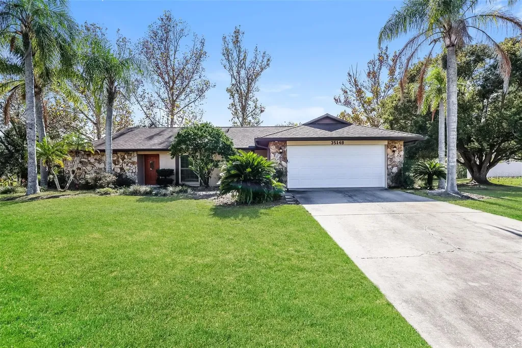 35148 Dolphin Lake Drive Zephyrhills FL 33541
