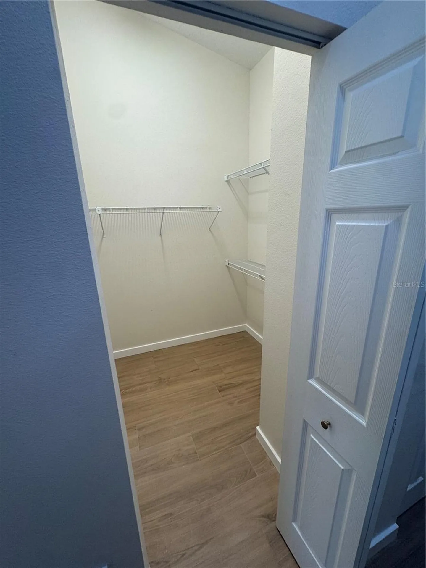 2221 Cimarron Terrace Palm Harbor FL 34683