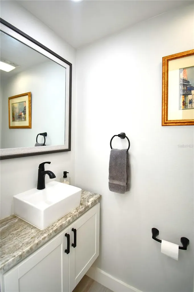 1245 N Alexander Street Mount Dora FL 32757