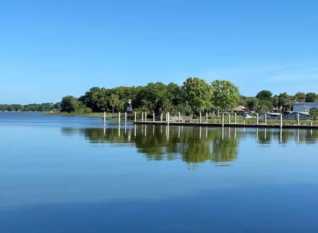 1245 N Alexander Street Mount Dora FL 32757