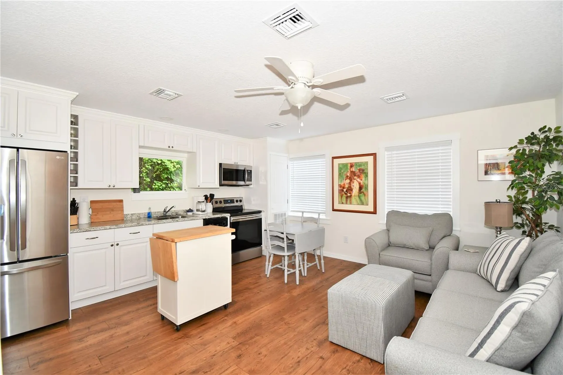 1245 N Alexander Street Mount Dora FL 32757