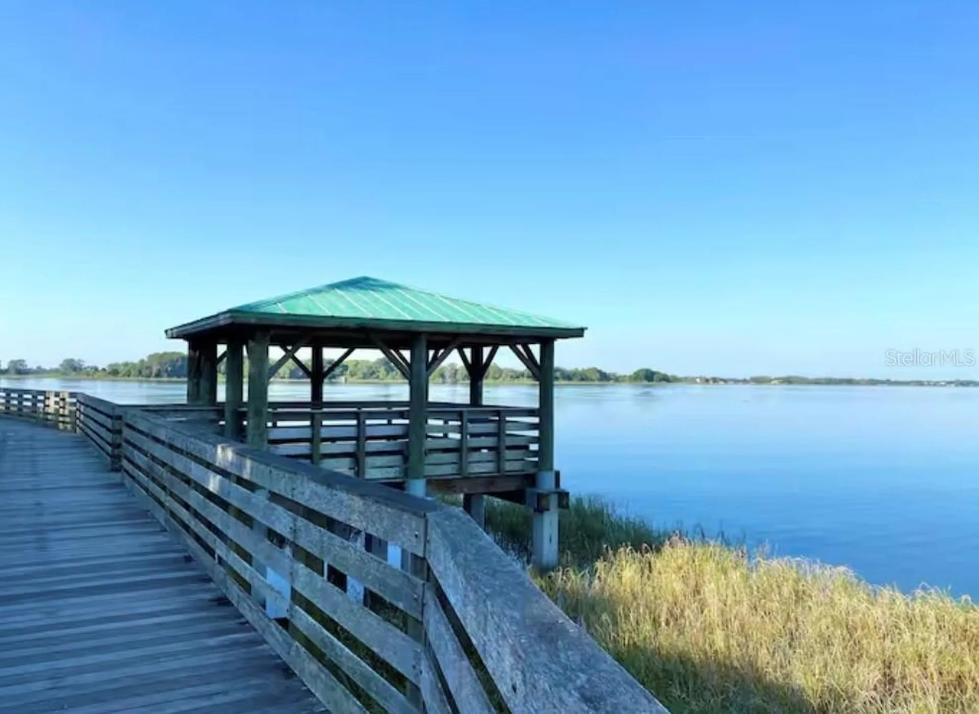 1245 N Alexander Street Mount Dora FL 32757