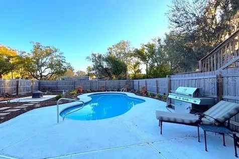 1245 N Alexander Street Mount Dora FL 32757