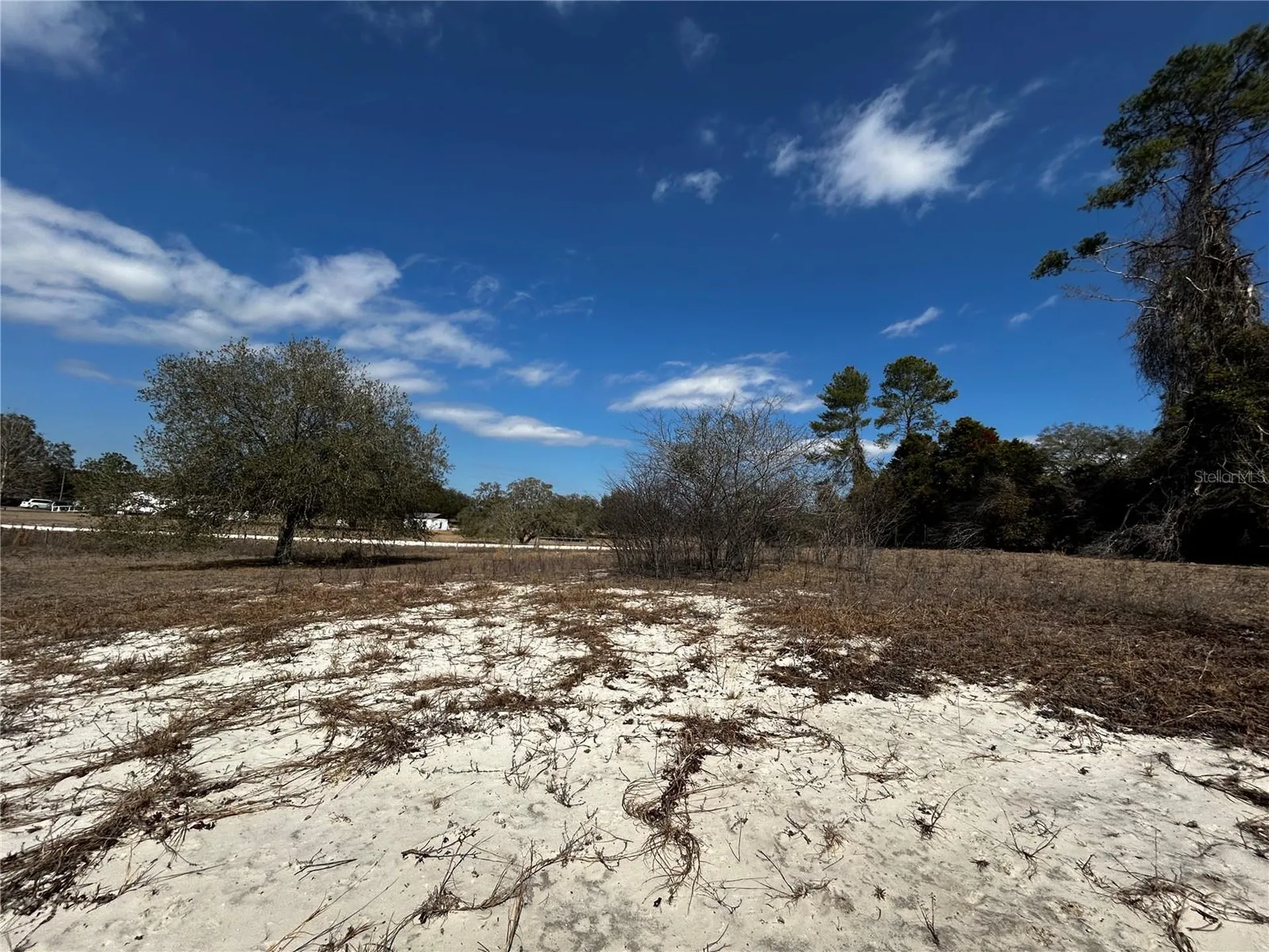 5387 SE 36th Street Trenton FL 32693
